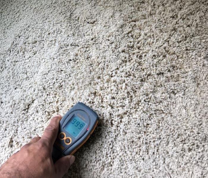 Moisture meter detecting water in carpeting.