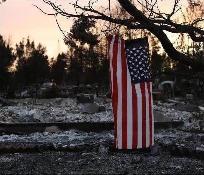 American flag hanging amongst burnt shrubs and trees.