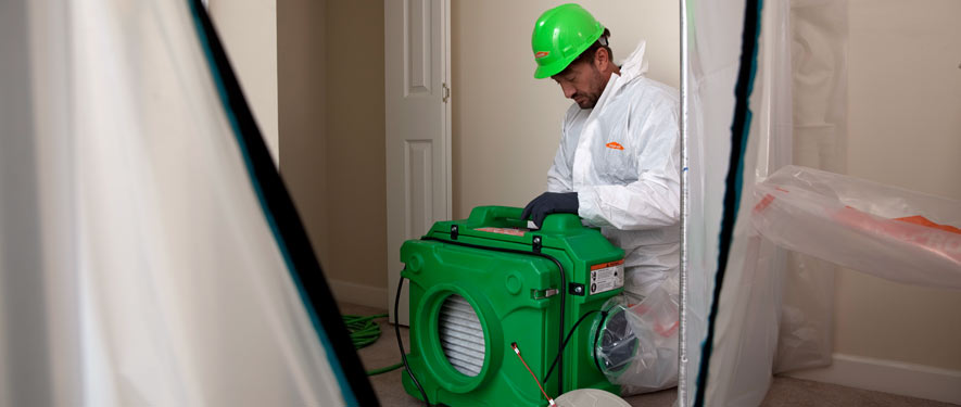 Carlsbad, CA mold cleanup